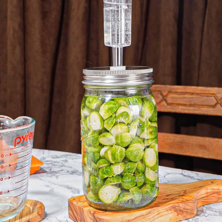 jar of mason jar with a fermentation air lock full of brussel sprouts