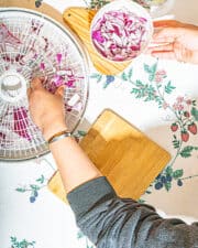 Dehydrated Onions » Slow Living Kitchen