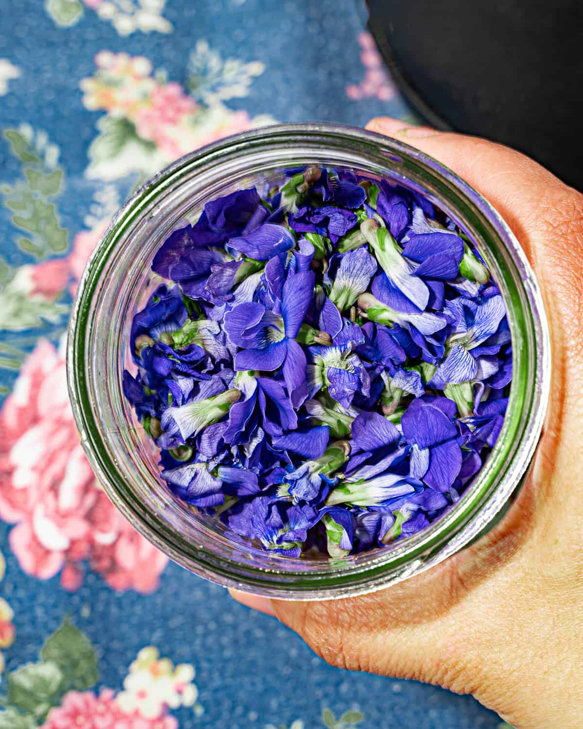 person holding a glass jar of wild violets