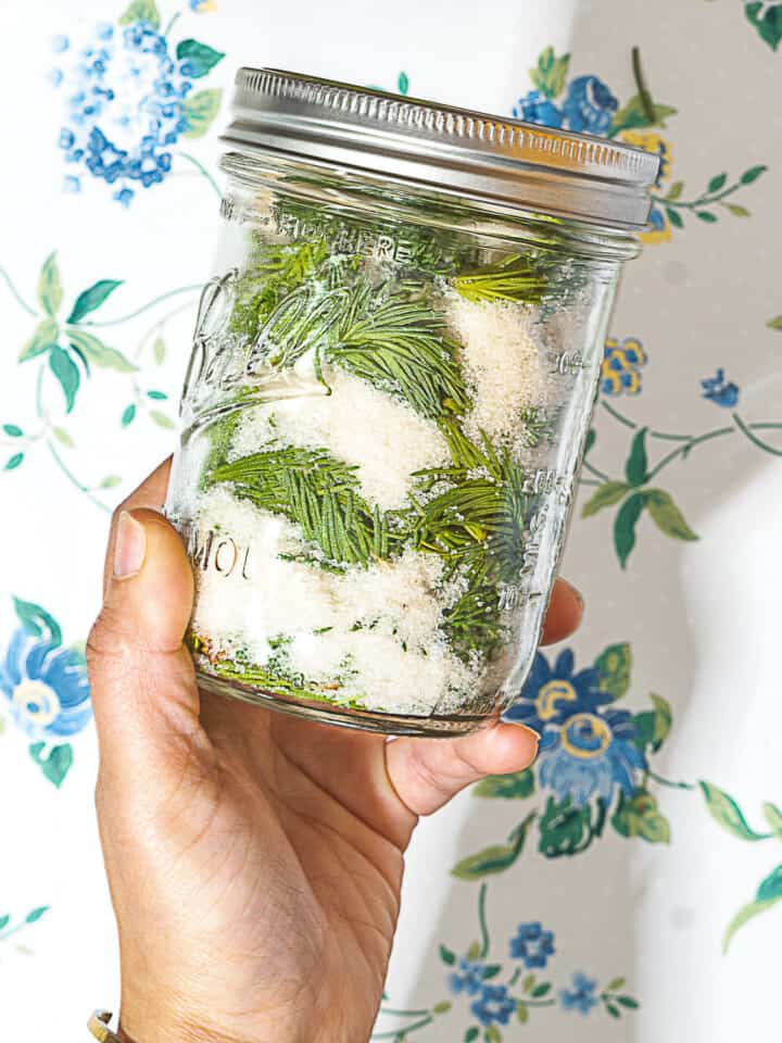 person holding jar of spruce tips and sugar