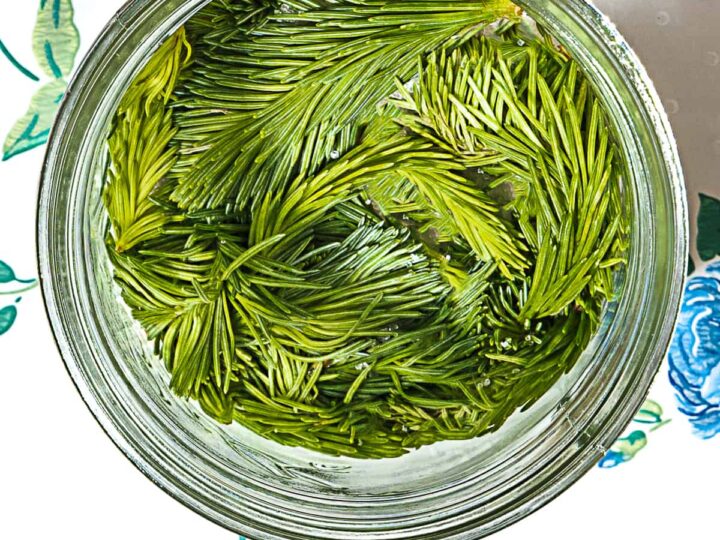 top down view of green spruce tips in sugar