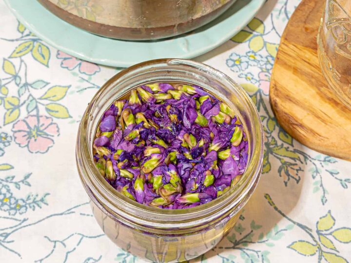 mason jar filled with wild violet infused vinegar