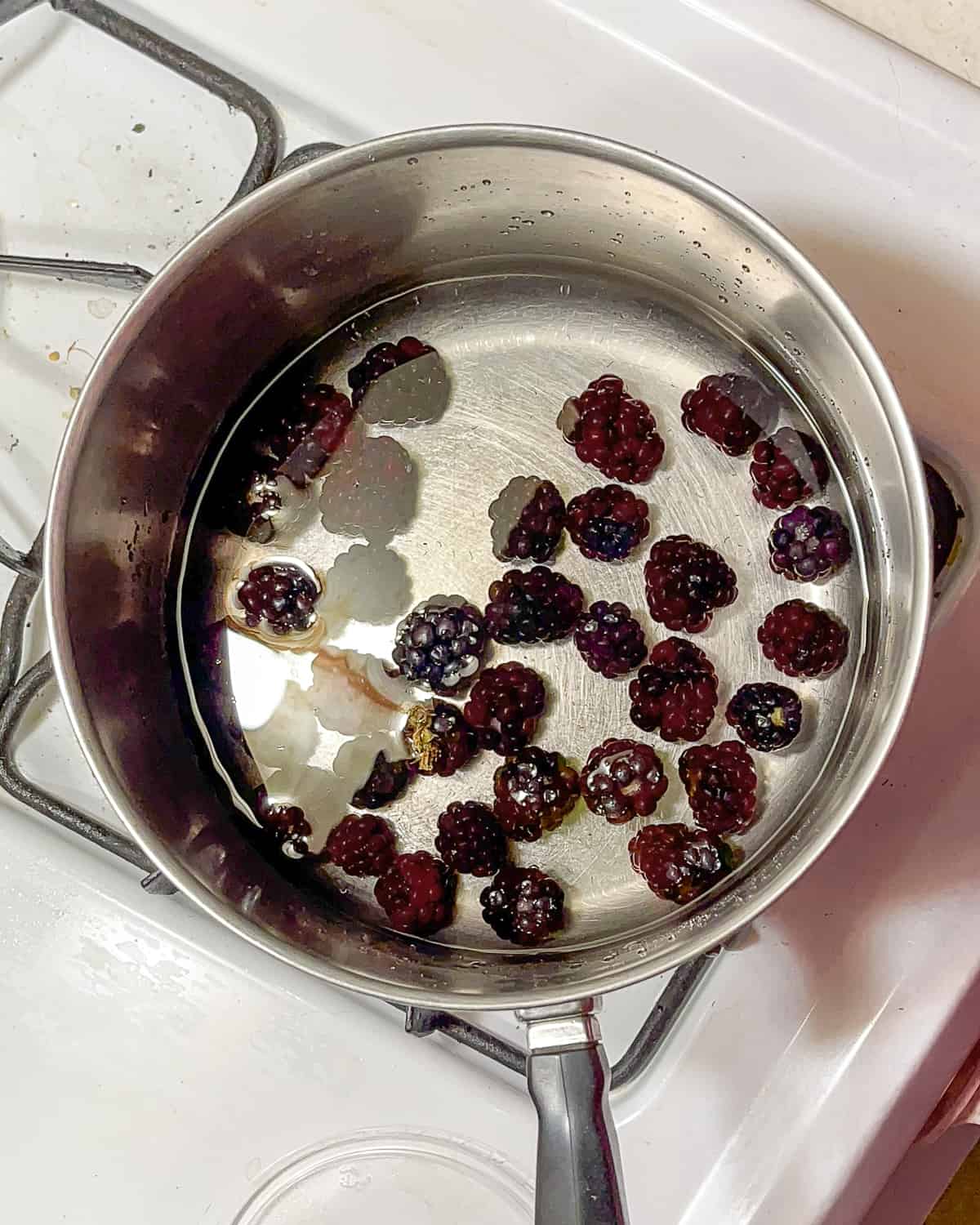 pot with water and blackberries