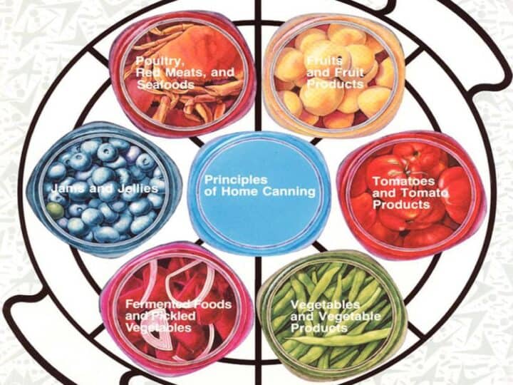 Image for Importance of Evidence-based Food Preservation and Where To Find Information