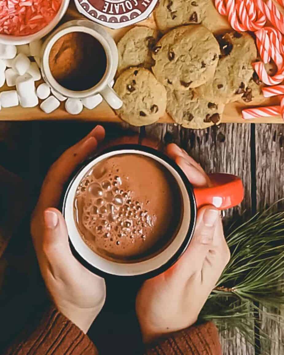 moody photo of a person holding mug of chocolate with cookies, candy canes and marshmallows