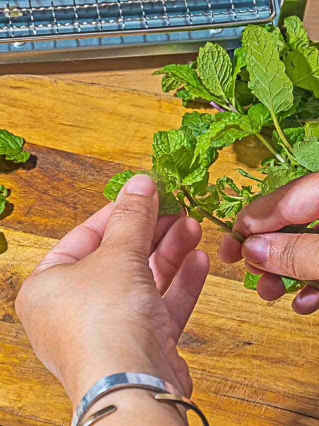 View of Dehydrating Pasta: Your guide to drying fresh pasta » Slow Living Kitchen
