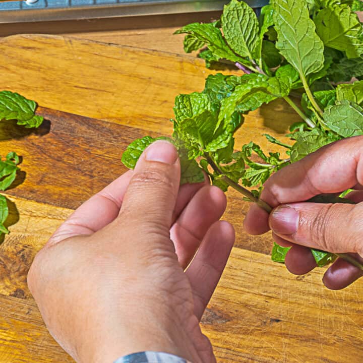person pulling a mint leaf off of asprig of mind with a pile of mild sprigs on a wooden cutting board