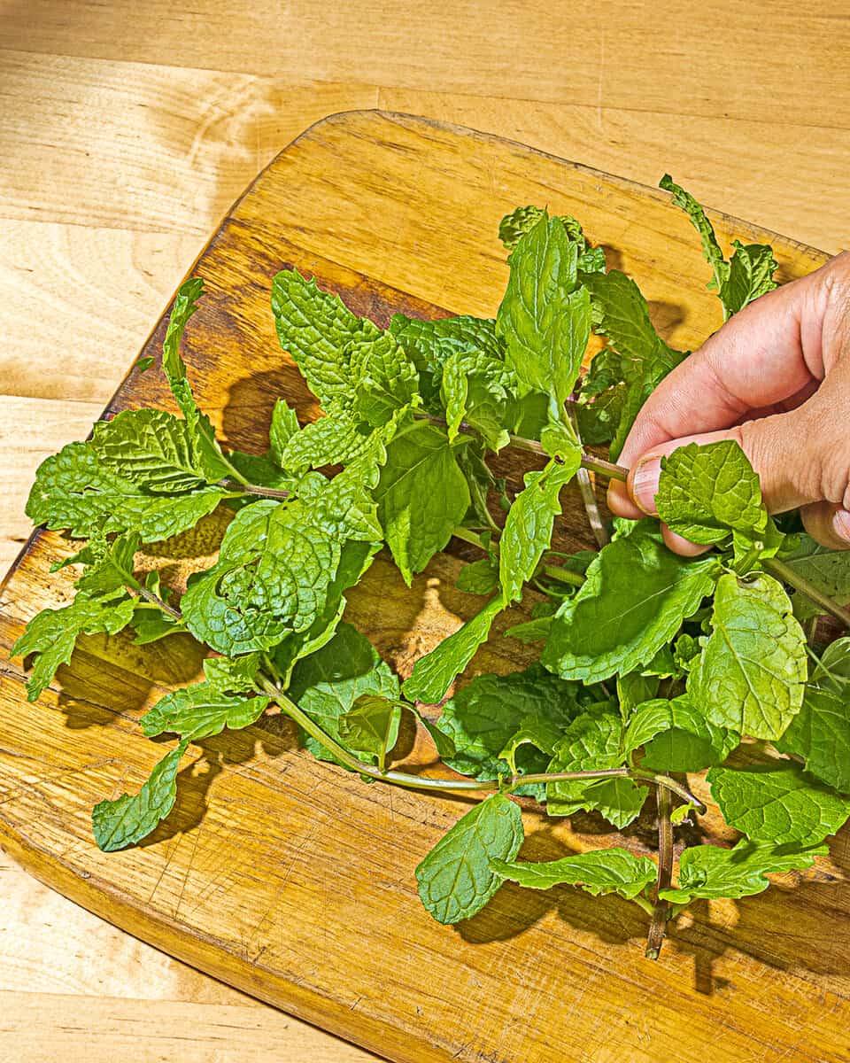 person holding a sprig of mind with a pile of mild sprigs on a wooden cutting board