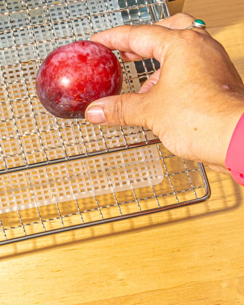 How to Dehydrate Plums » Slow Living Kitchen
