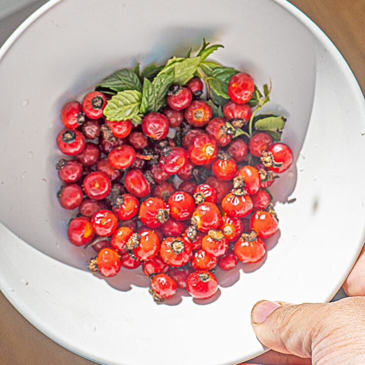overhead shot of person holding a bowl of whole rose hips w