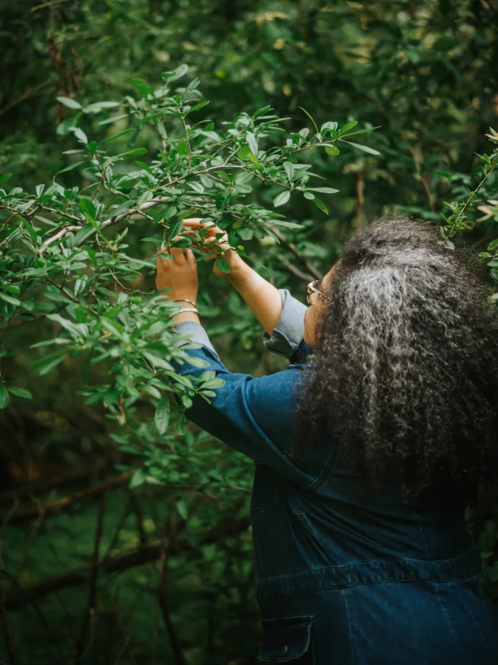 JLA07019 scaled e1680444981528 | Slow Living Kitchen