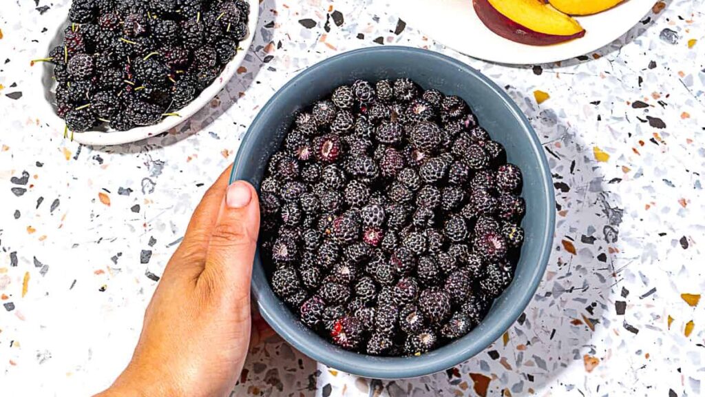 Wild Black Raspberry Jam Recipe » Slow Living Kitchen