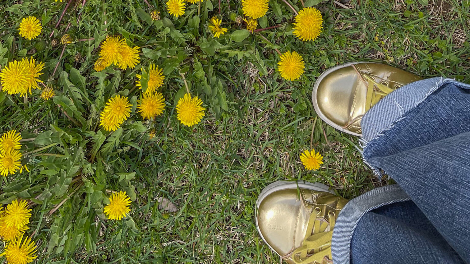 Wild Kitchen Foraging 10 Tips for Foraging with Wild Edibles » Slow Living Kitchen