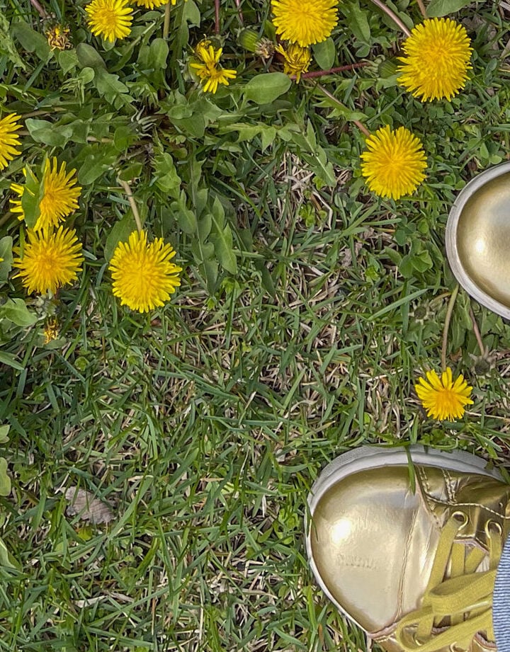 top down view of a person wearing gold sneakers and jeans in a field of dandelions