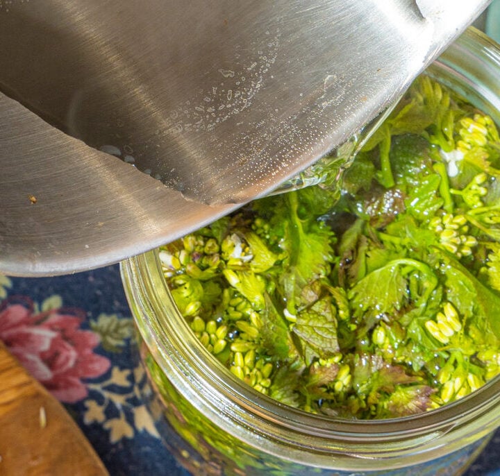 person pouring pickle brine over garlic mustard tops
