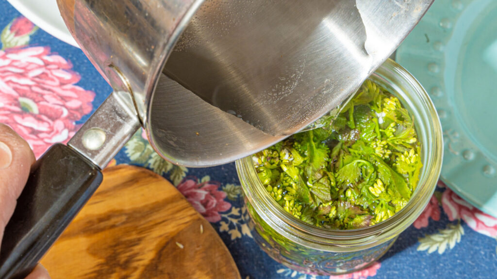 Wild Kitchen Foraging Guide to Foraging for Edible Wild Plants » Slow Living Kitchen
