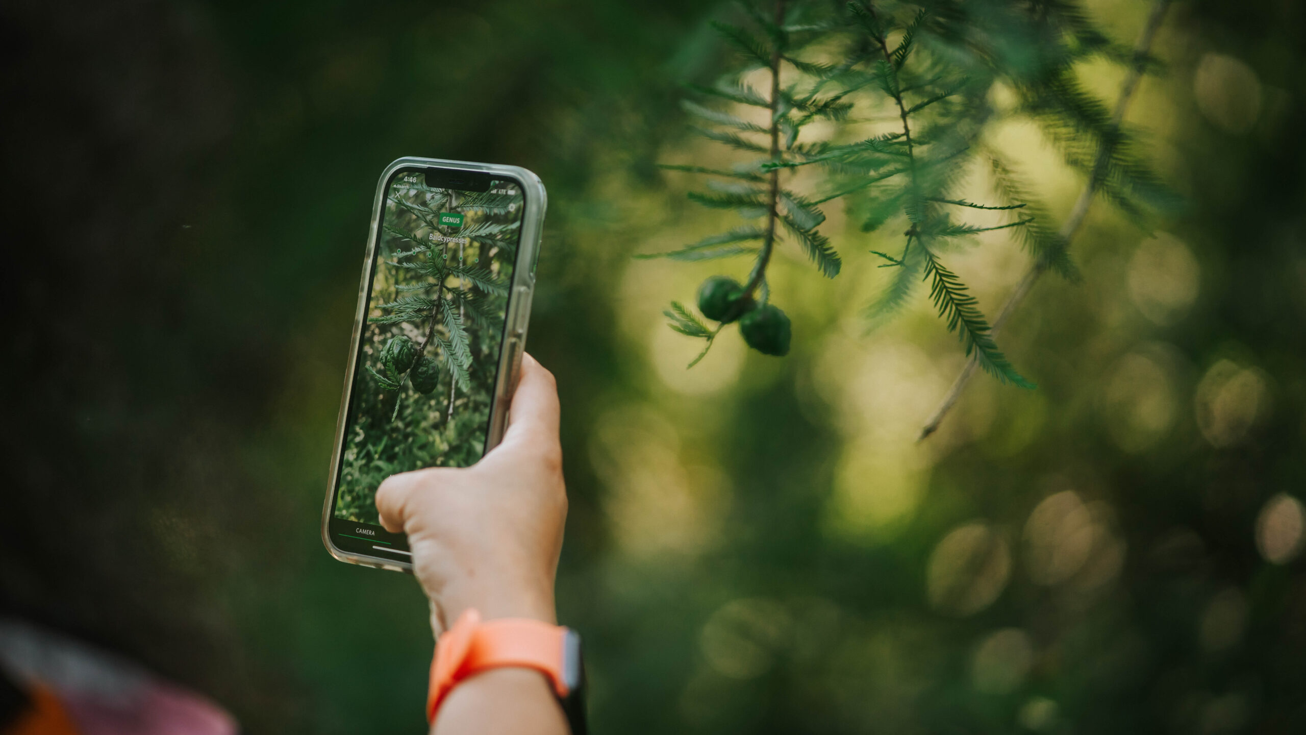person taking a photo in the forest with their cellphone with their right hand