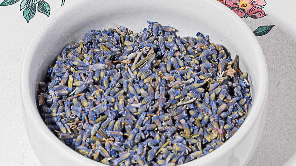 small white bowl of lavender flower buds