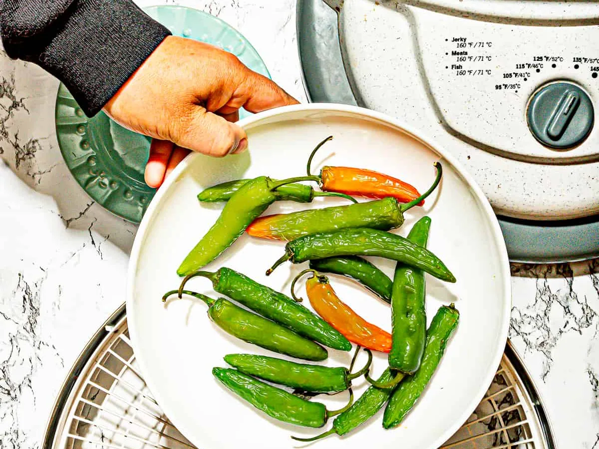 person holding white plate of habanero peppers with a dehydrator in the background